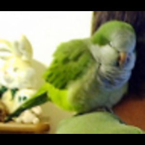 Meet your Posher, Denise